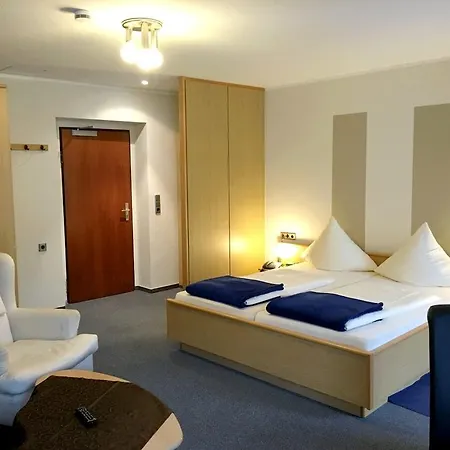 ホテル Garni Am Goetheplatz 3*